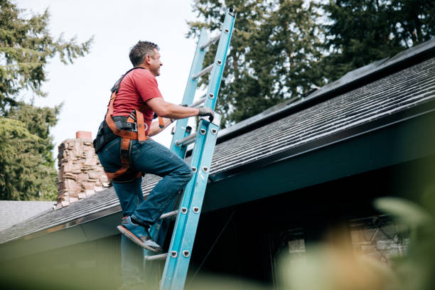 Best Chimney Flashing Repair  in Sacramento, CA