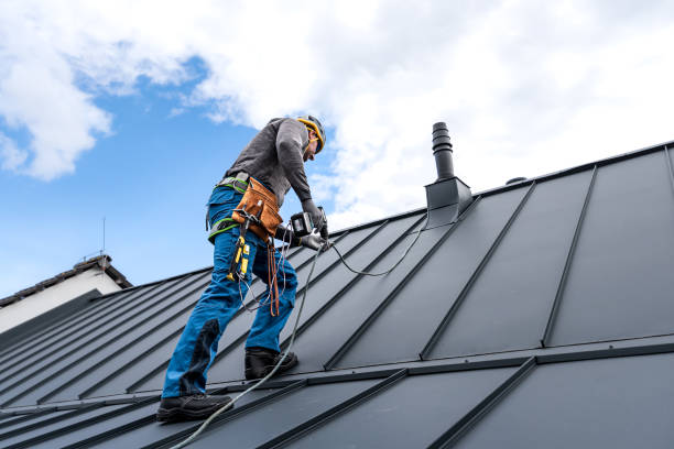 Best Skylight Installation and Repair  in Sacramento, CA