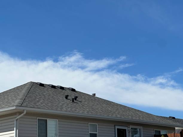 Best Roof Inspection  in Sacramento, CA